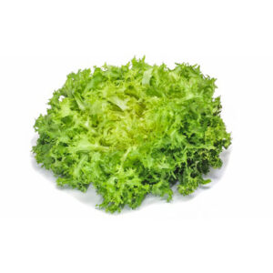 Endiviensalat
