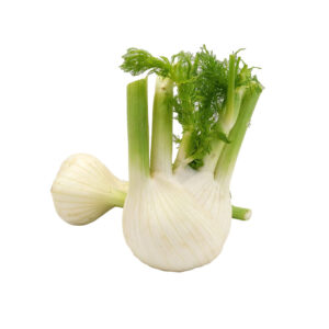 Fenchel