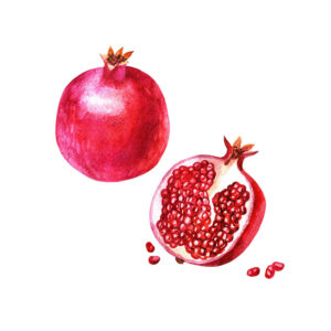 Granatapfel