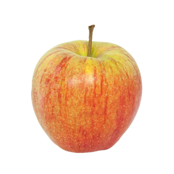 Äpfel rot Jonagored 1kg