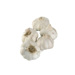 trocken Knoblauch 