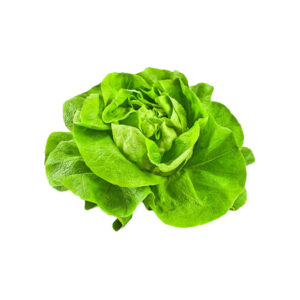 Kopfsalat