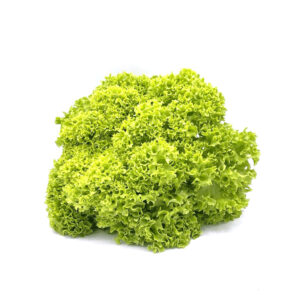Lollo bionda